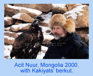 Mongolian Golden Eagle