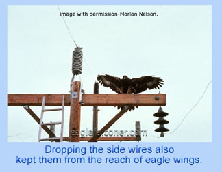 Pylon modifcations for eagles