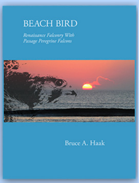 Beach Bird Book Bruce Haak