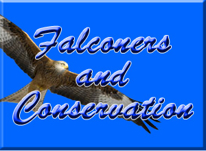 Falconer Conservation