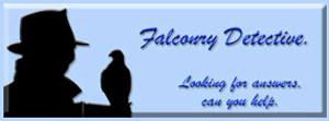 Falconry Detective at eaglefalconer
