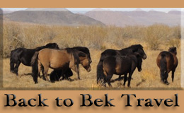 Bek Travel in Mongolia