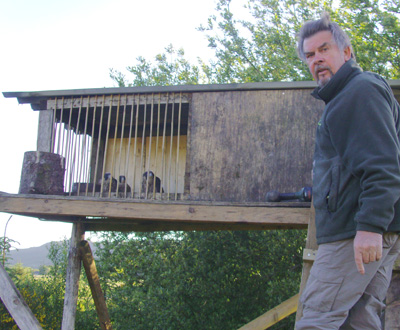 Falconers and volunters save peregrines