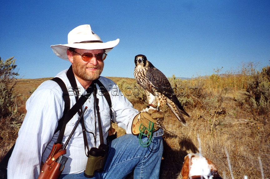 Bruce Haak American Falconer