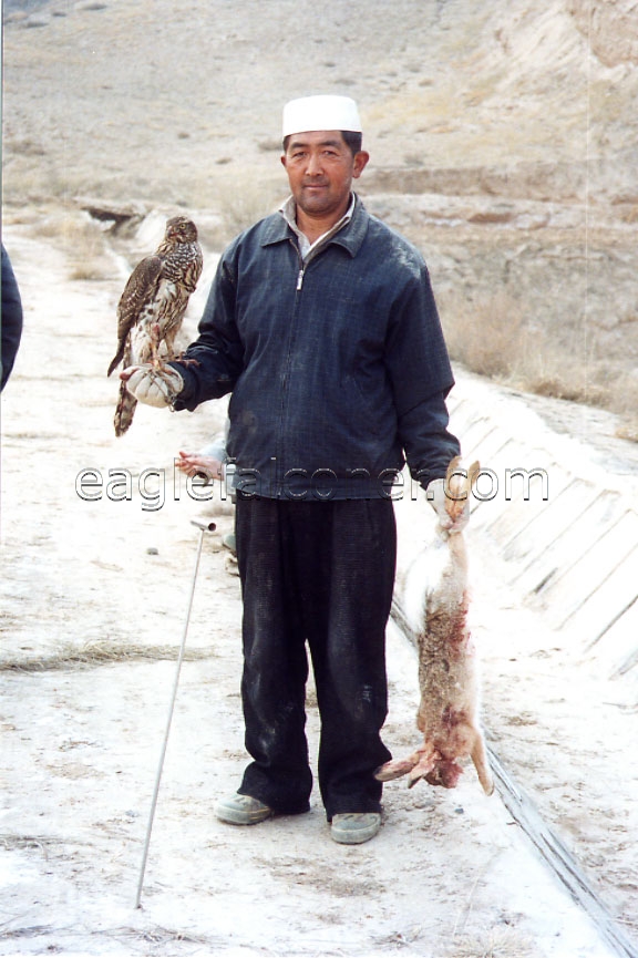 Chinese Falconer with Goshawk and hare