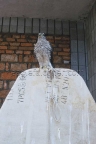 Sparrow hawk on screen in China