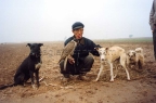 Chinese falconer with dogs