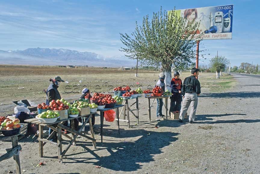 Kyrgyz apple sellers