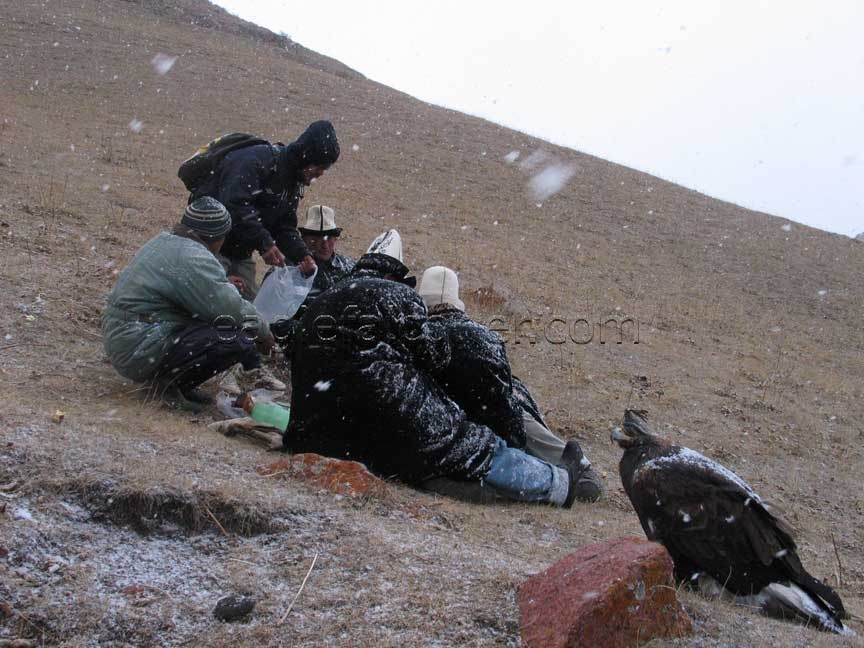 Sheltering from the snow