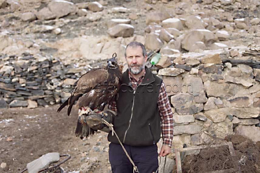 Alan Gates with Mongolian Berkut eagle
