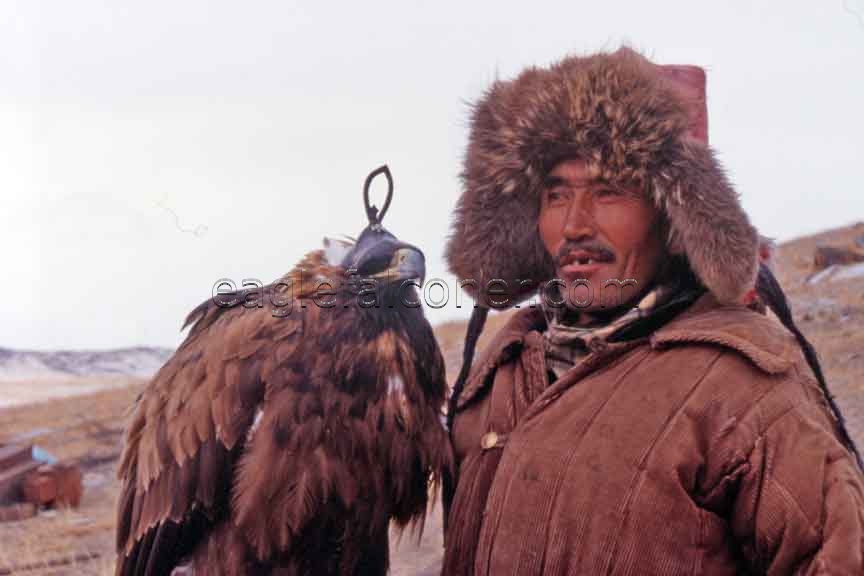 Manai, Mongolian Eaglehunter
