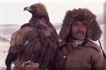 Mongolian Falconry