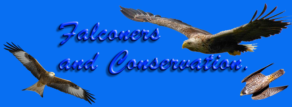 Falconry and Conservation